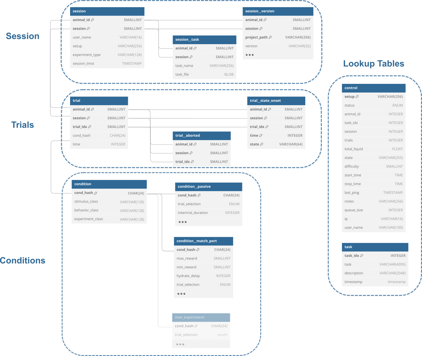 Experiment schema