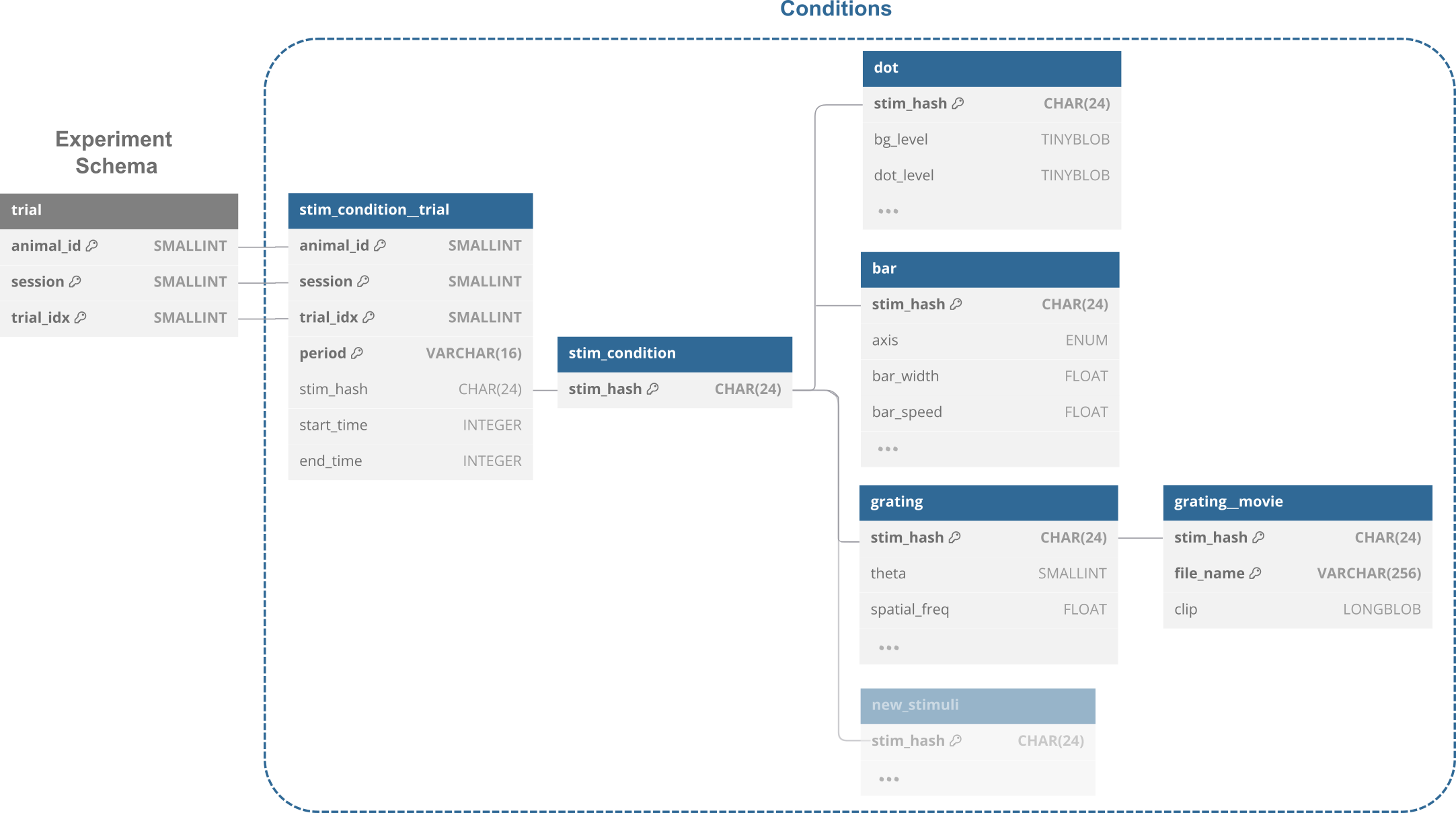 Stimulus schema